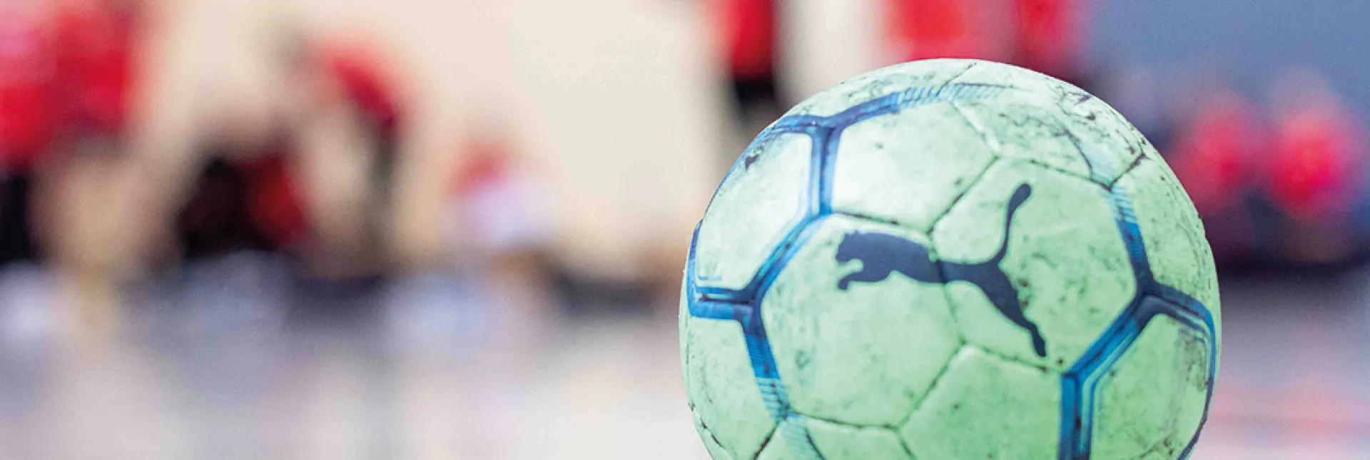 Trainer bilden sich aus 