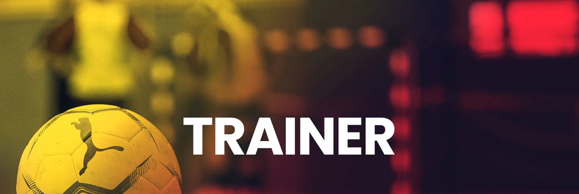 Trainer - Übersicht