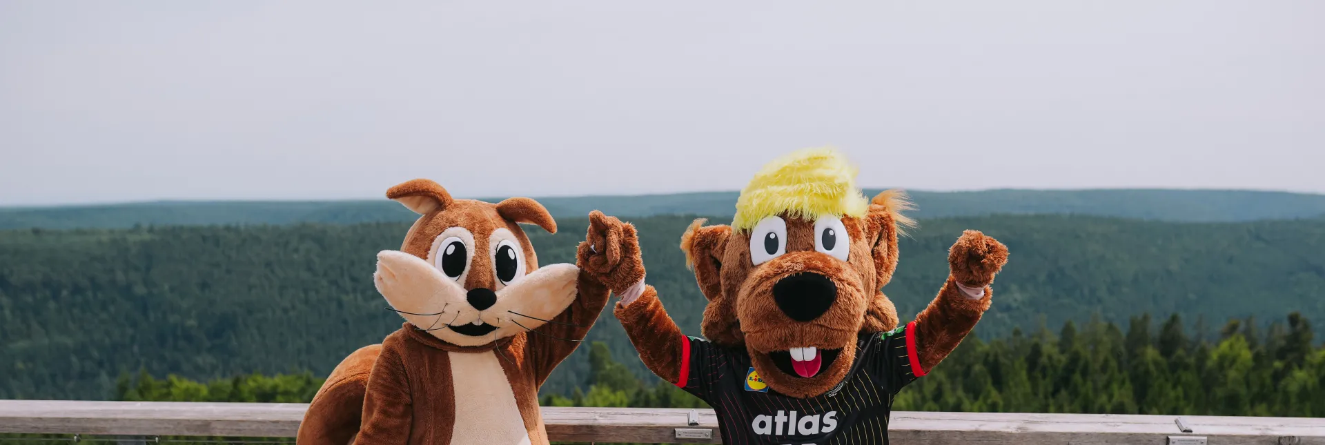 Der DHB EAK Aktionstag