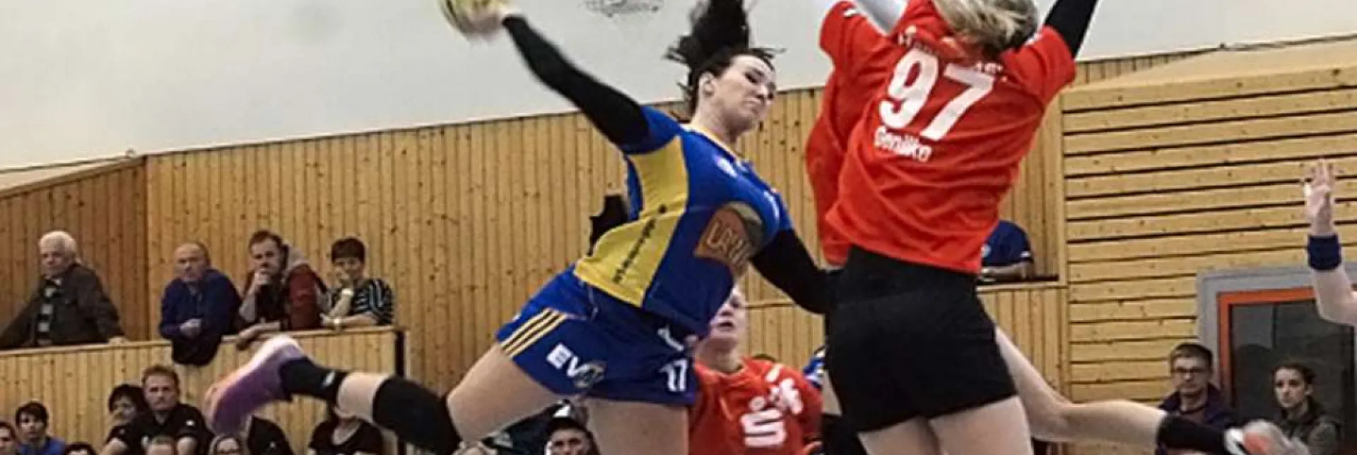 976750776acbe3f.jpg
