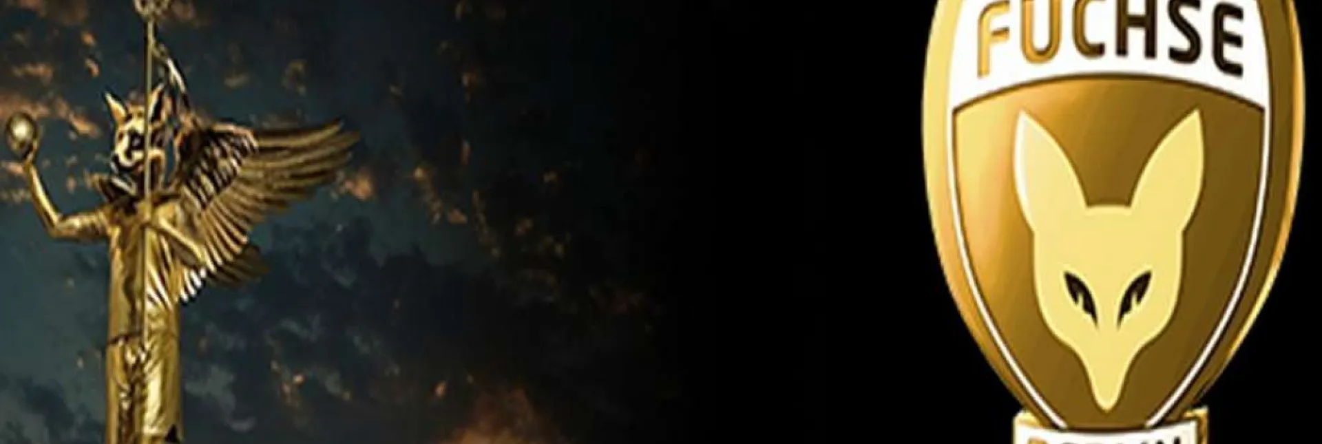1acf5f5f4e80e96.jpg