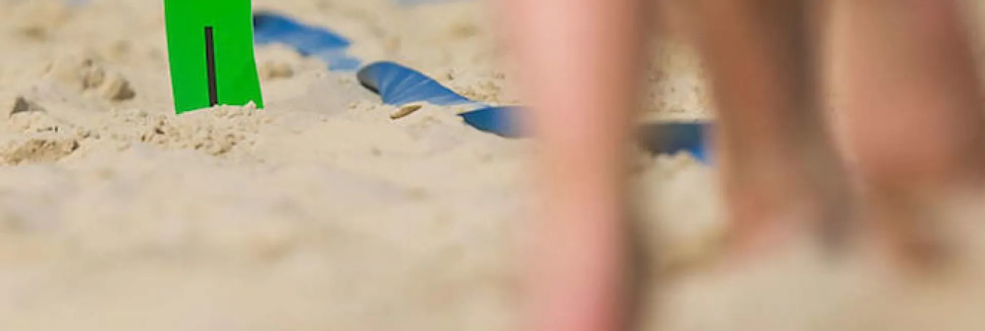 9f6866eff03ee36_2b110_f_800x450.jpg