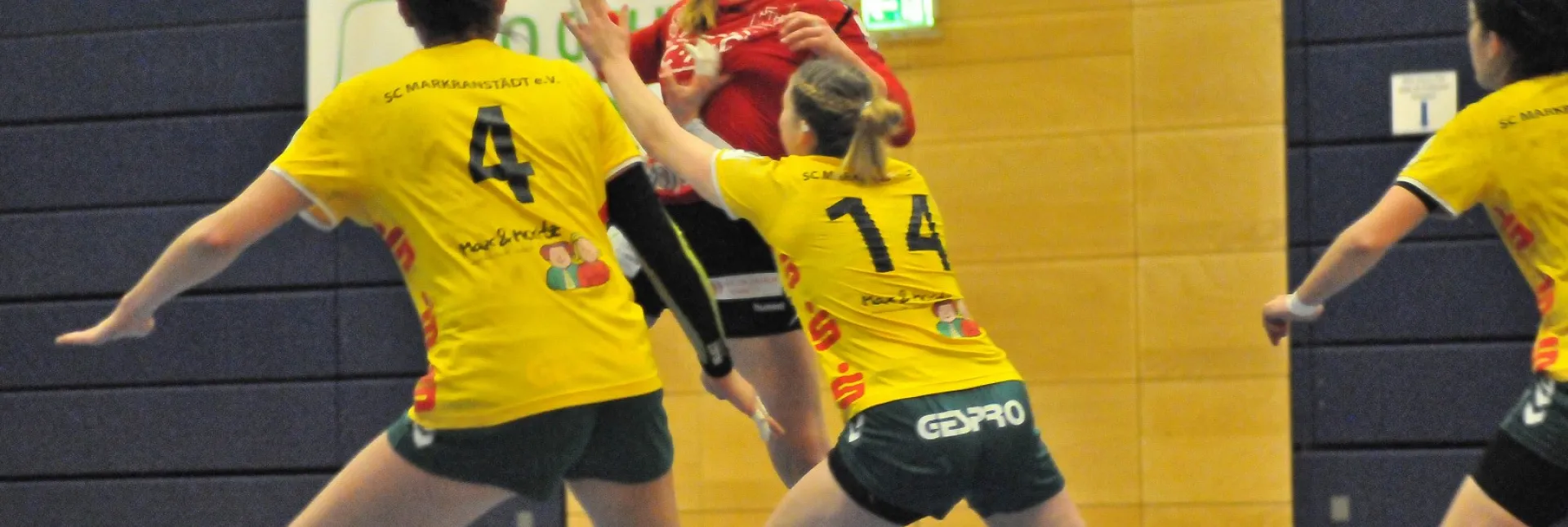 Melanie-Beckert-HV-Chemnitz-Foto-Sebastian-Hopp.jpg