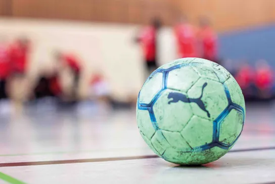 Trainer bilden sich aus 