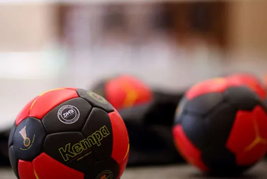 2f82e044902becc.jpg