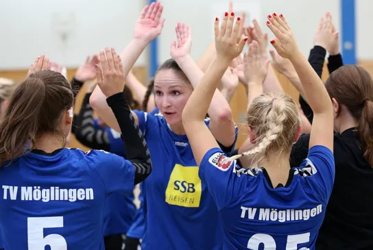 Moeglingen-SVA_AndreasWerner.jpg